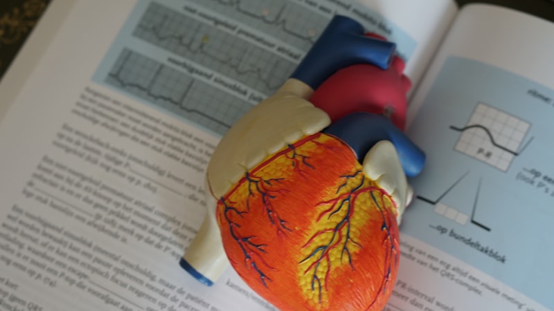 Cardiology | Iswarya Hospital Chennai